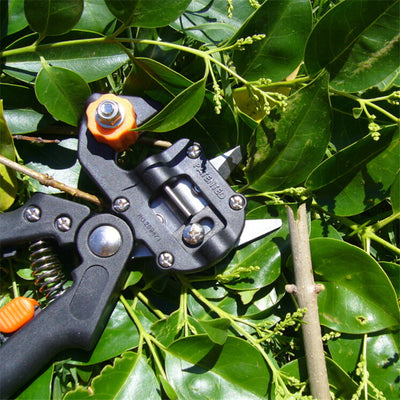 Tree Scissor Grafting Pruner - Rezetto