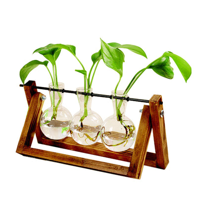 Hydroponic Plant Glass Vase - Rezetto