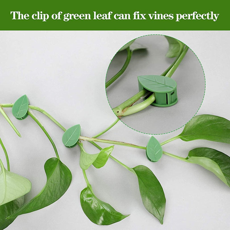 Self Adhesive Support Plant Clips - Rezetto