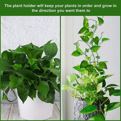 Self Adhesive Support Plant Clips - Rezetto