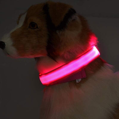 Pet Led Luminous Night Collar