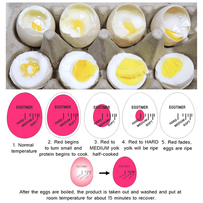 Egg Color Changing Timer