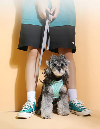 Pet Mesh Harness With Leash