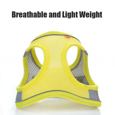 Pet Mesh Harness With Leash
