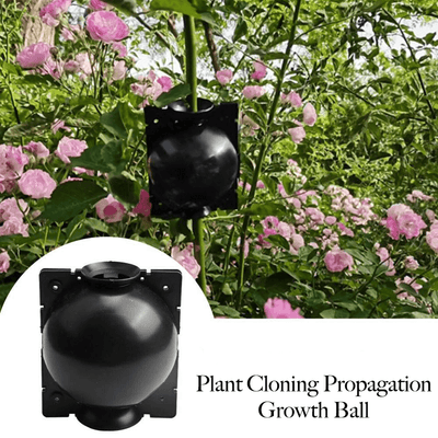 Plant Cloning Propagation Growth Ball