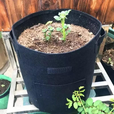 Vegetables Breathable Growth Bag