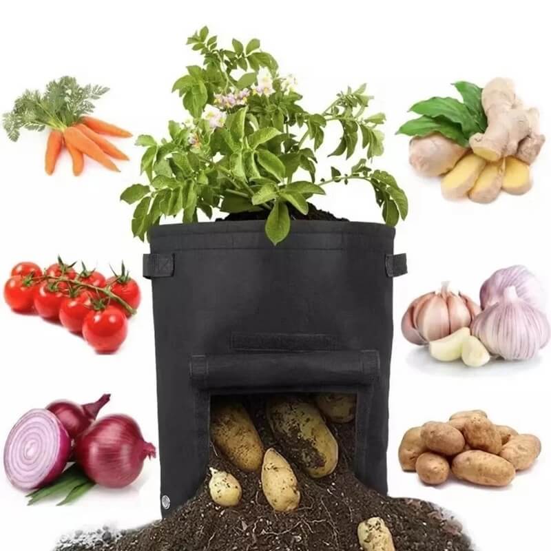 Vegetables Breathable Growth Bag