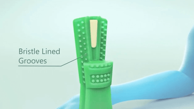 Pet Grinding ToothBrush