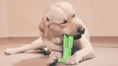 Pet Grinding ToothBrush