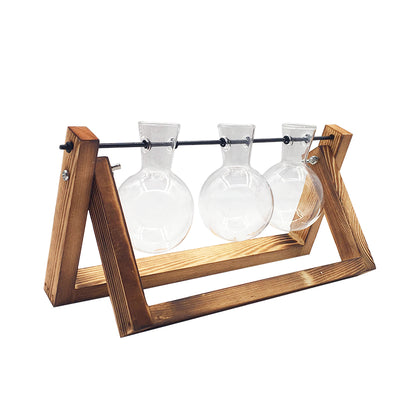 Hydroponic Plant Glass Vase - Rezetto