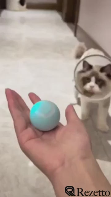Cat Automatic Rolling Ball Toy